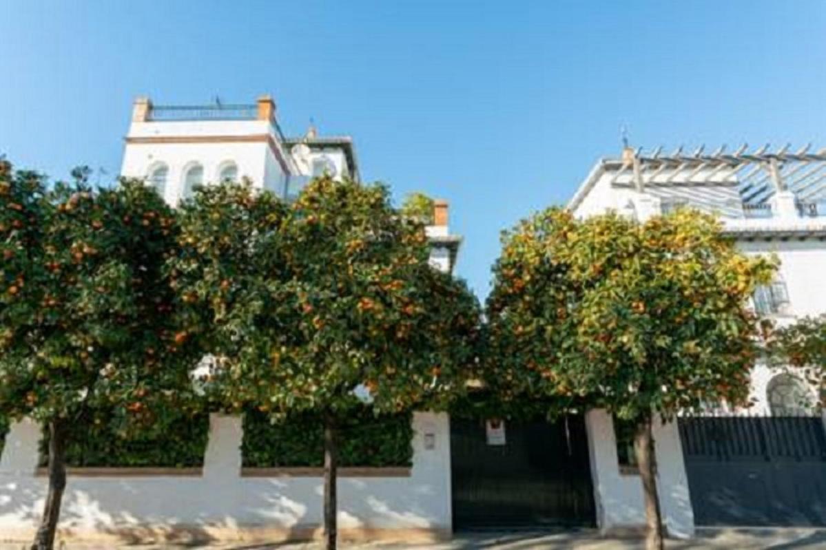 Appartement Casa Jucar 4 Séville